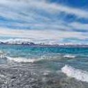 西安交通大学环境协会王艺霏