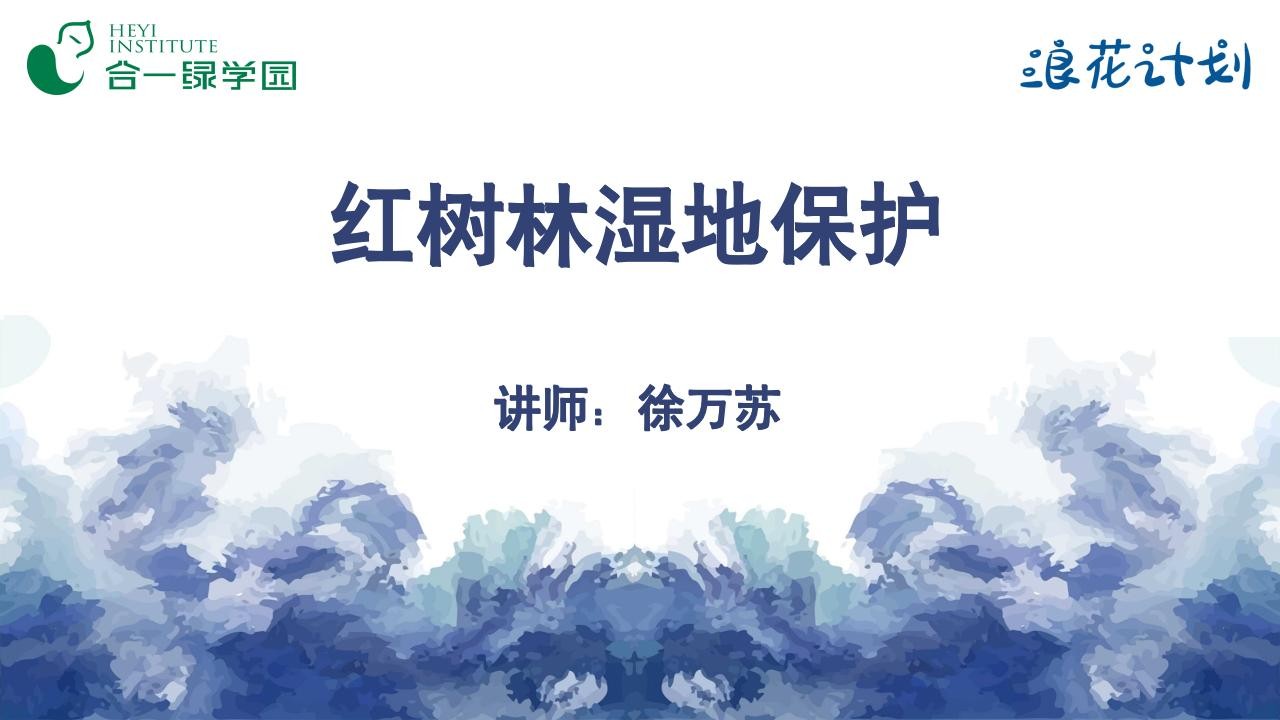 红树林湿地保护