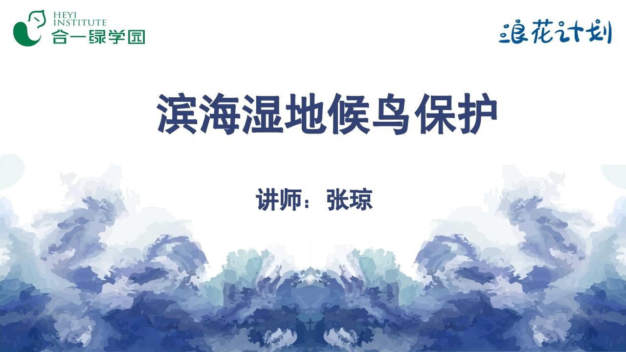 滨海湿地候鸟保护